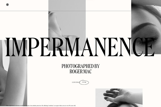 Projet Impermanence ©www.impermanence.us