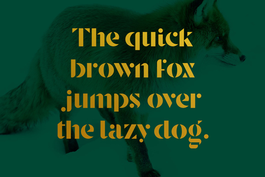 Typographie ©Jeremie Gauthier